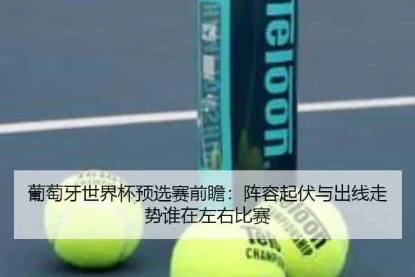 葡萄牙世界杯预选赛前瞻：阵容起伏与出线走势谁在左右比赛 - kaiyun